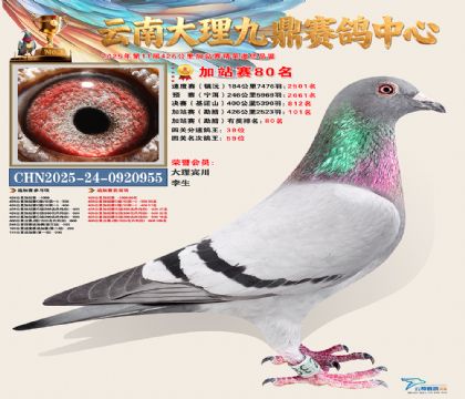 大理九鼎加站赛80名