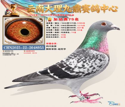 大理九鼎加站赛79名