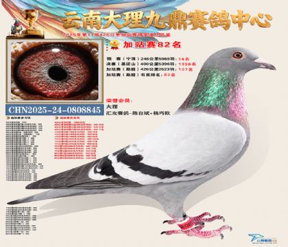 大理九鼎加站赛82名