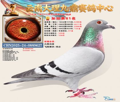 大理九鼎加站赛81名