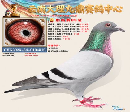 大理九鼎加站赛85名