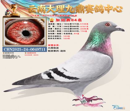 大理九鼎加站赛84名