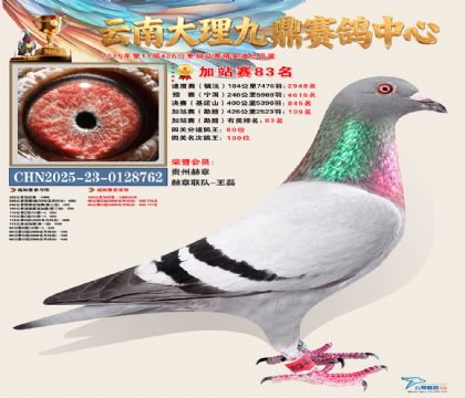 大理九鼎加站赛83名