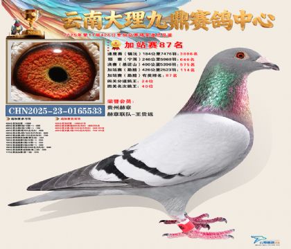 大理九鼎加站赛87名