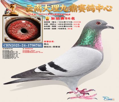 大理九鼎加站赛86名