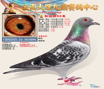 大理九鼎加站赛88名