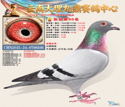 大理九鼎加站赛90名