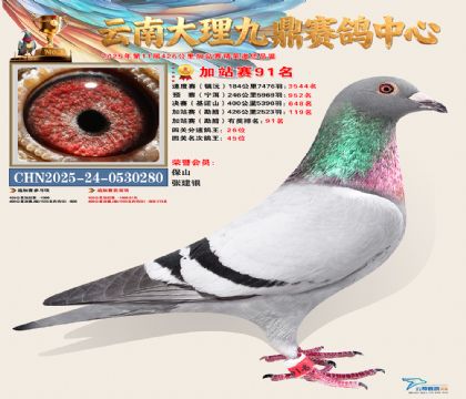 大理九鼎加站赛91名