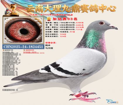 大理九鼎加站赛93名