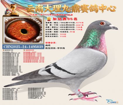 大理九鼎加站赛95名