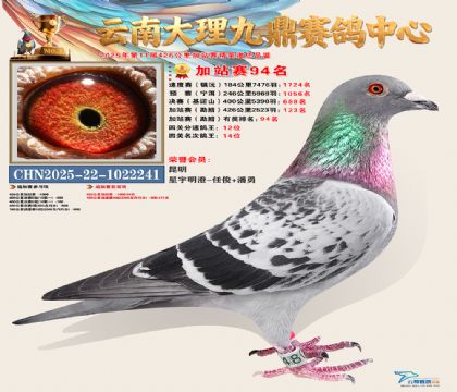 大理九鼎加站赛94名