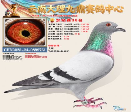 大理九鼎加站赛96名