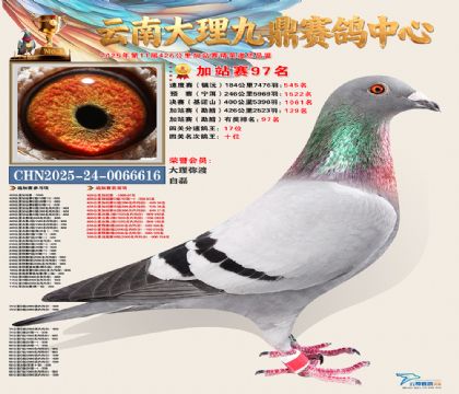 大理九鼎加站赛97名