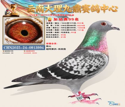 大理九鼎加站赛99名