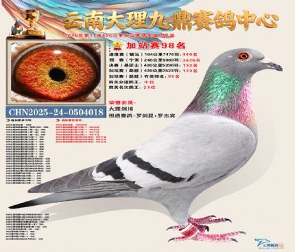 大理九鼎加站赛98名