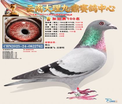 大理九鼎加站赛100名