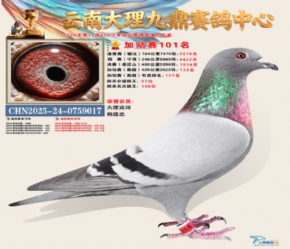 大理九鼎加站赛101名