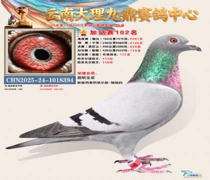 大理九鼎加站赛102名