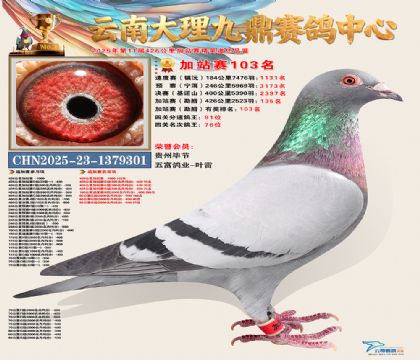 大理九鼎加站赛103名