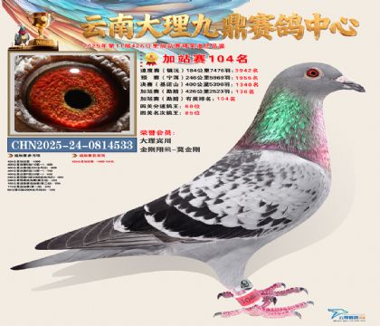 大理九鼎加站赛104名