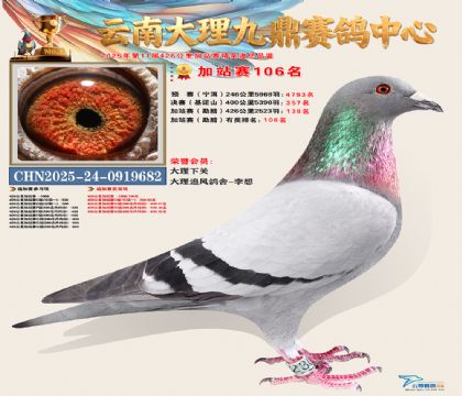 大理九鼎加站赛106名