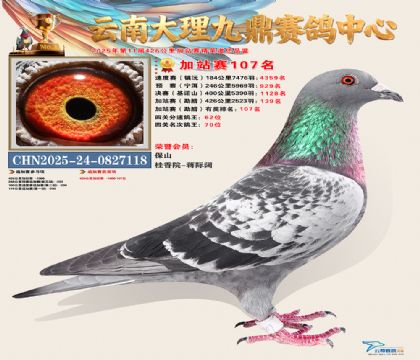 大理九鼎加站赛107名