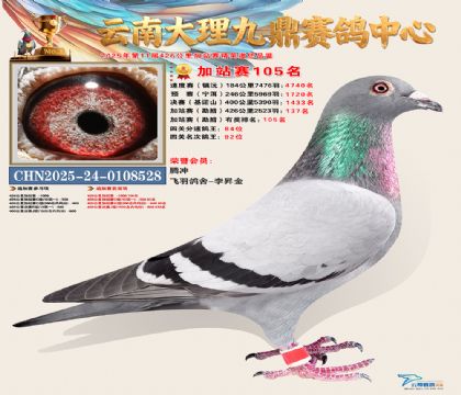 大理九鼎加站赛105名