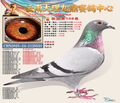 大理九鼎加站赛108名