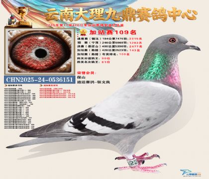 大理九鼎加站赛109名