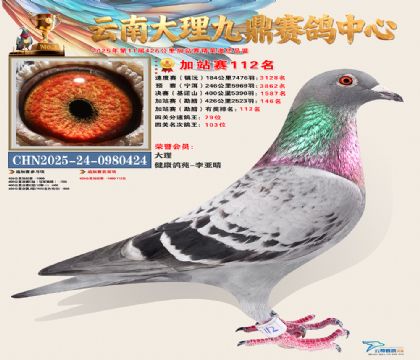 大理九鼎加站赛112名