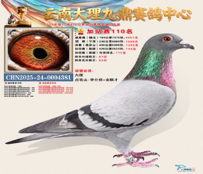 大理九鼎加站赛110名