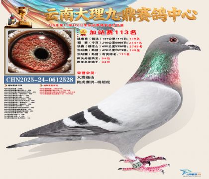 大理九鼎加站赛113名