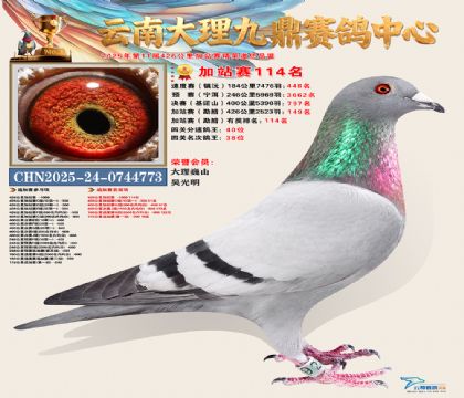 大理九鼎加站赛114名