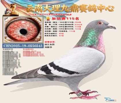 大理九鼎加站赛115名