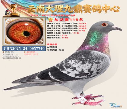 大理九鼎加站赛116名