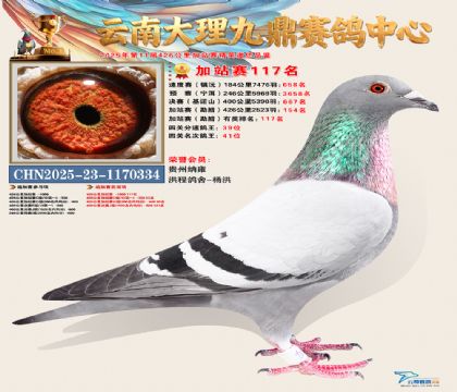 大理九鼎加站赛117名