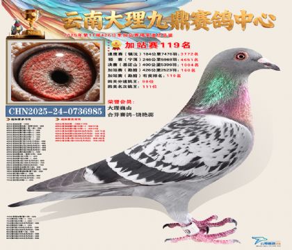 大理九鼎加站赛119名