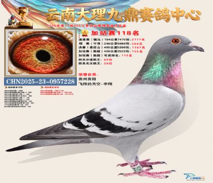 大理九鼎加站赛118名