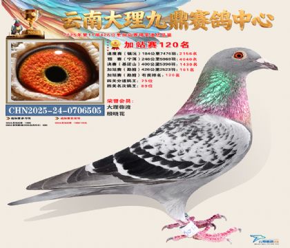 大理九鼎加站赛120名