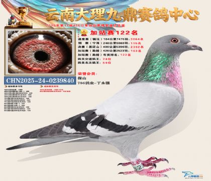 大理九鼎加站赛122名