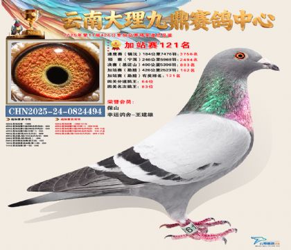 大理九鼎加站赛121名