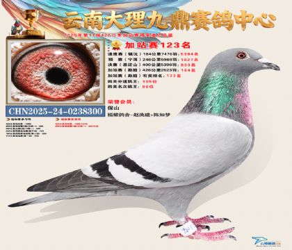 大理九鼎加站赛123名