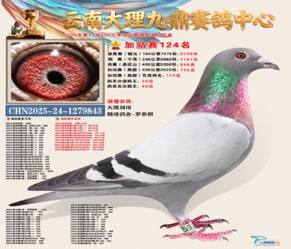 大理九鼎加站赛124名