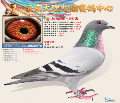 大理九鼎加站赛125名