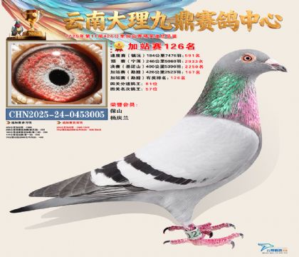 大理九鼎加站赛126名