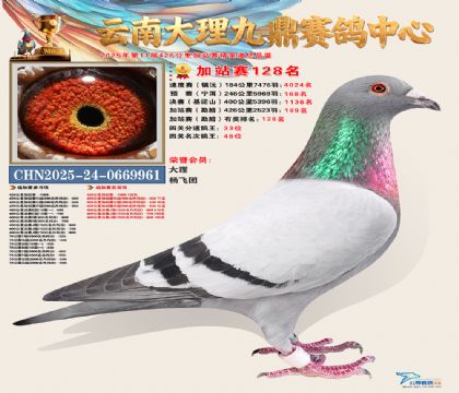 大理九鼎加站赛128名