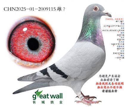 1.�ٸ�һ�عھ��Ӵ�.2009115