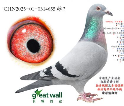 2.׿�����24���Ӵ�.0314655