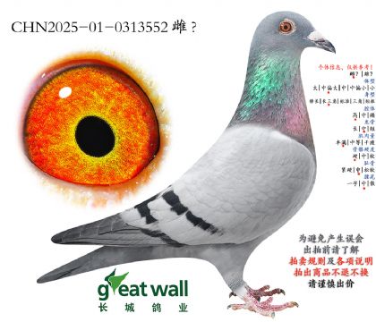 4.�Ϳ����.0313552