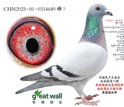 5.����Ѫϵ.0314649